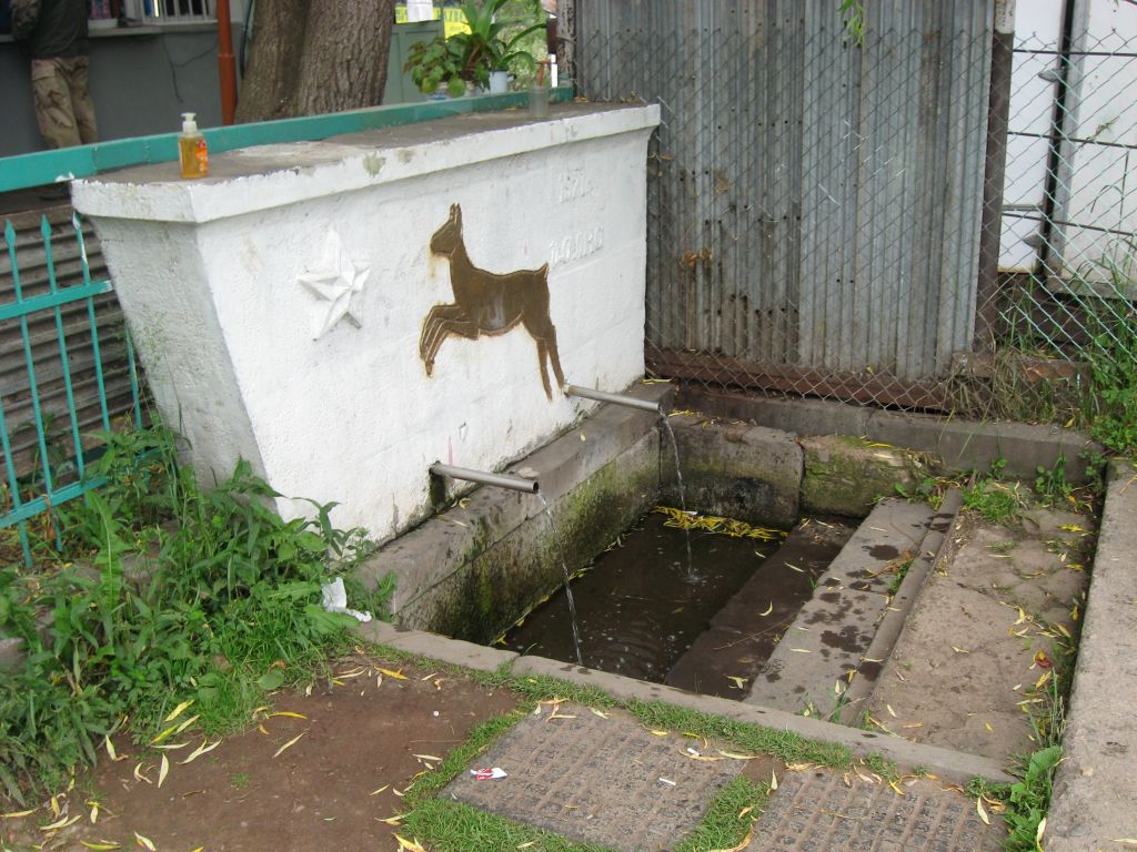 3 IMG 8681