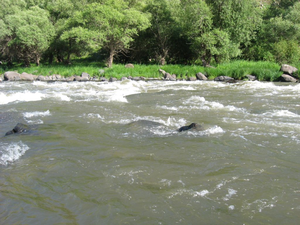 3 IMG 8954
