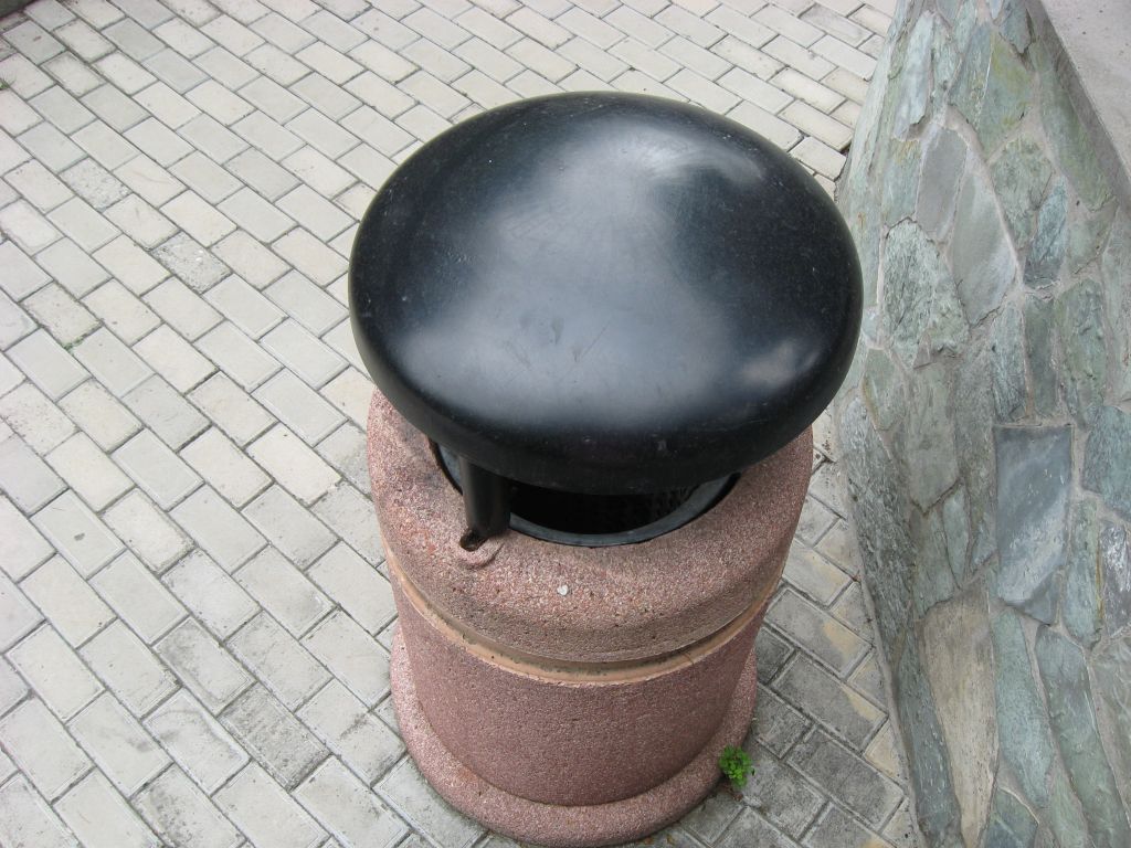 40 IMG 8503