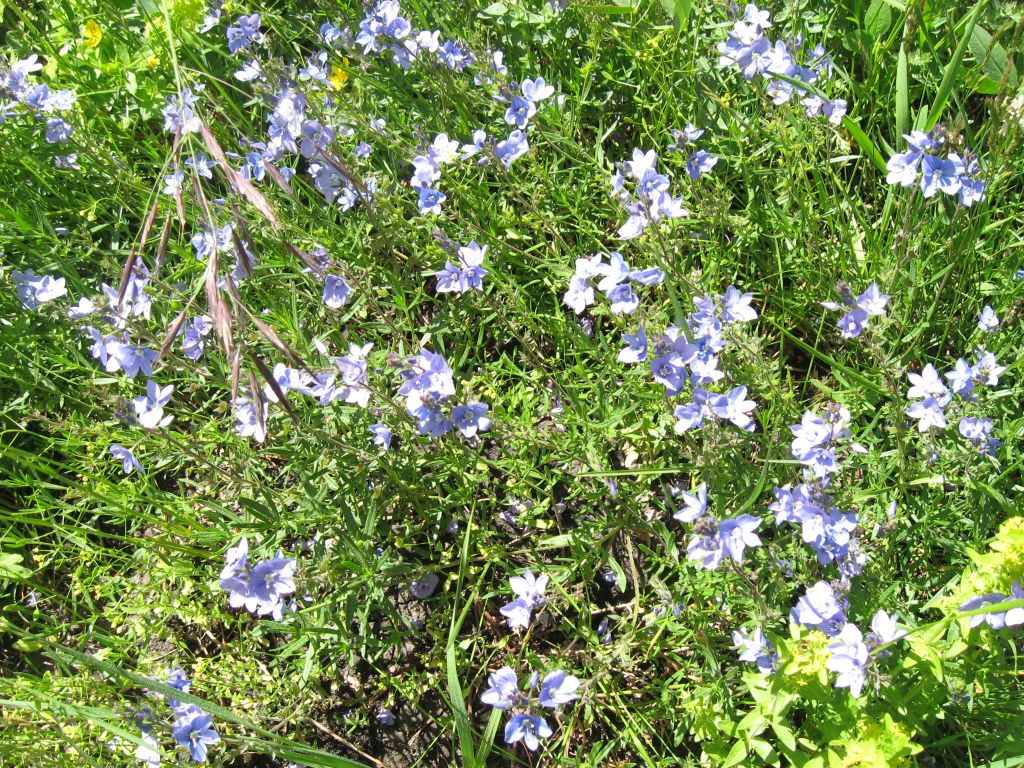 40 IMG 8759