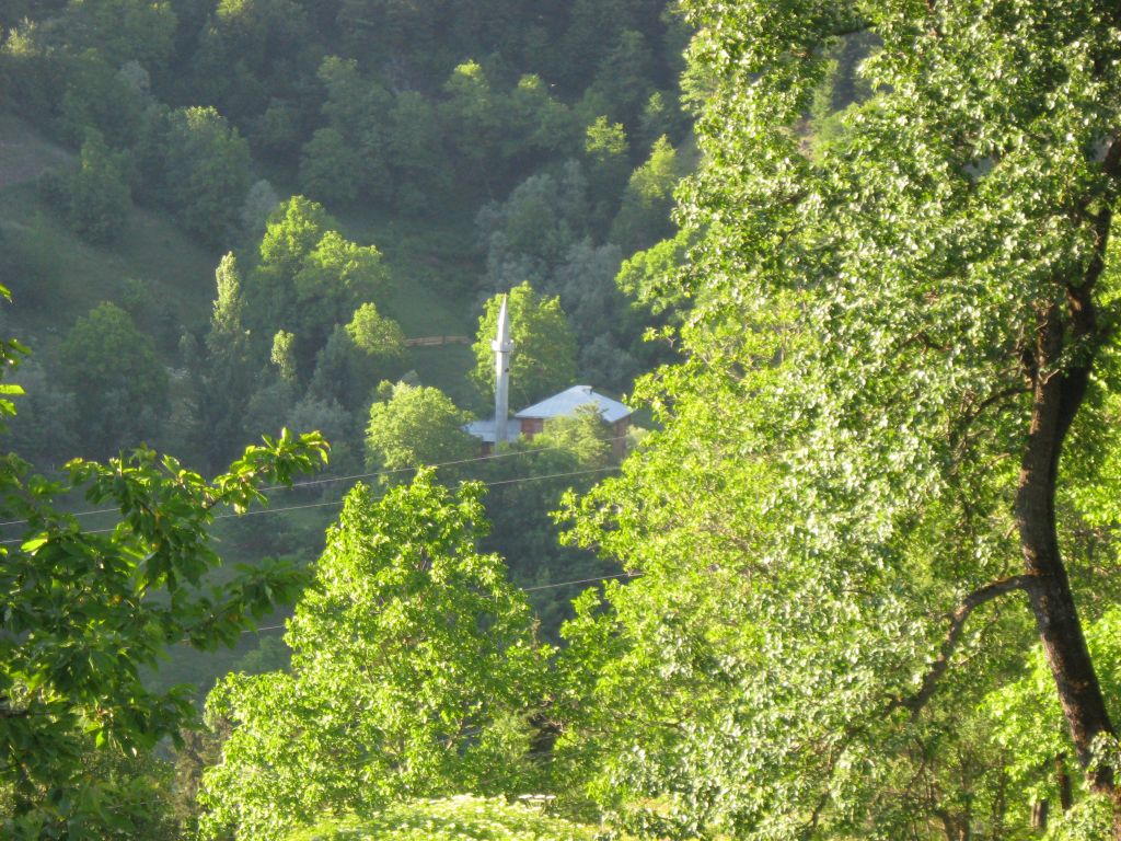 40 IMG 9272