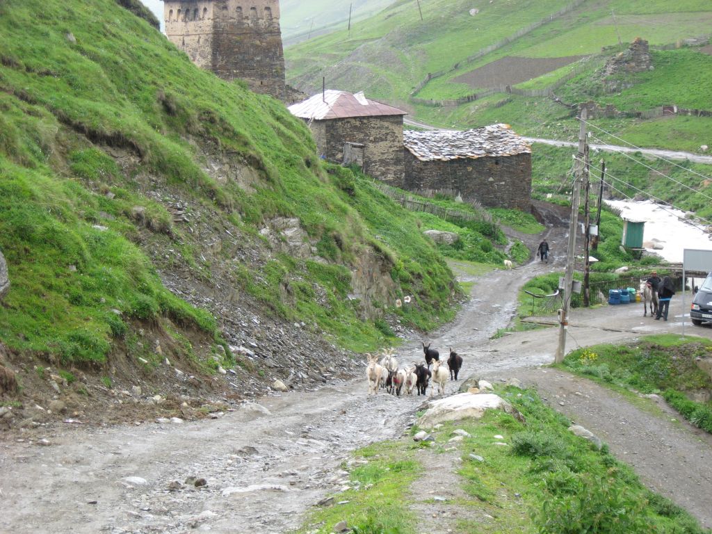41 IMG 7737