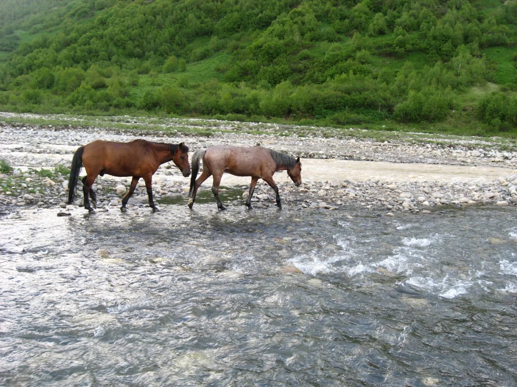 41 IMG 7918