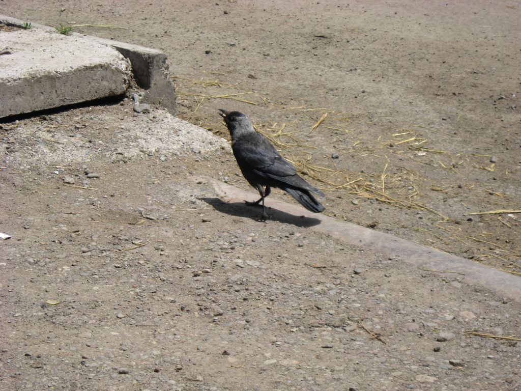 41 IMG 8735