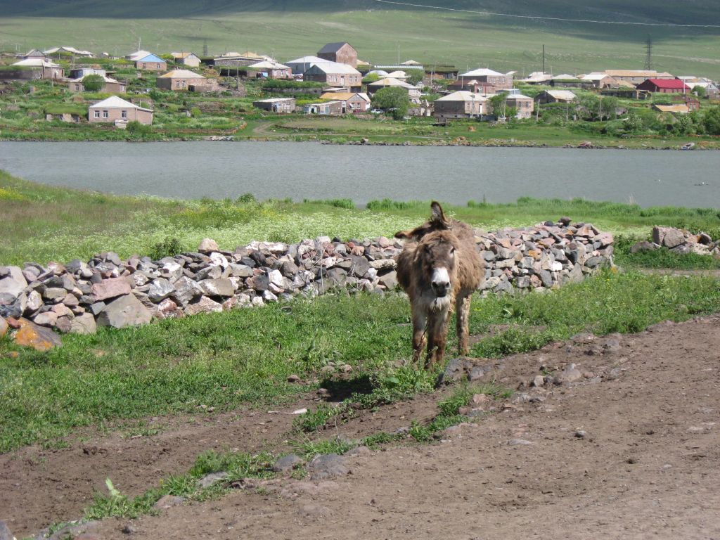 43 IMG 8763