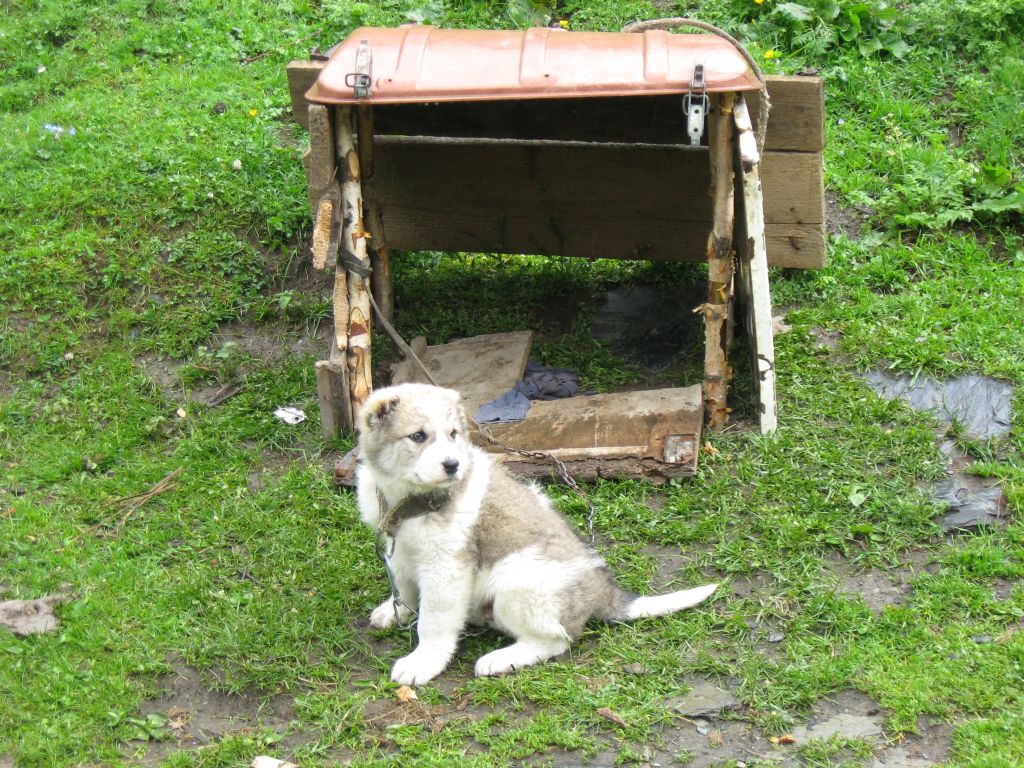 44 IMG 7739
