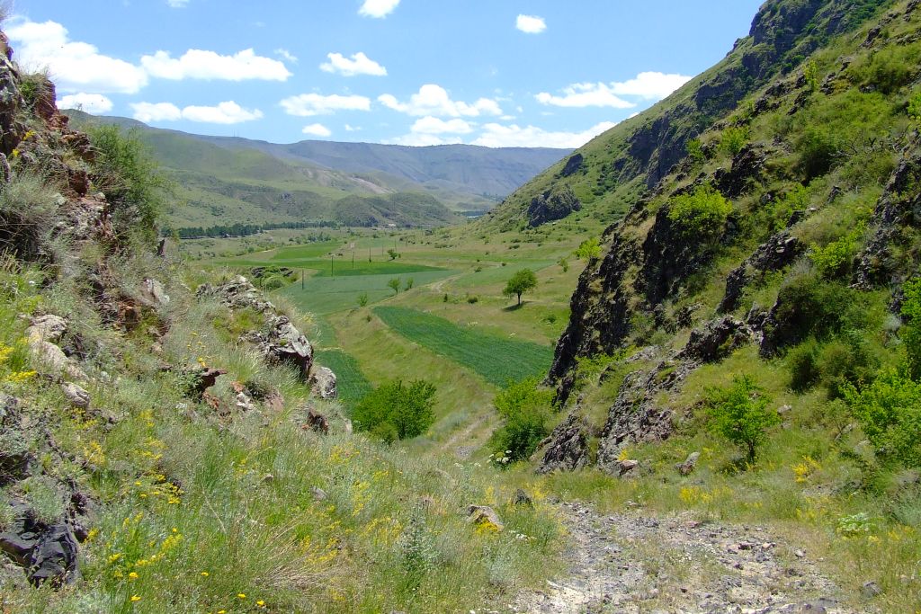 46 DSCF3690