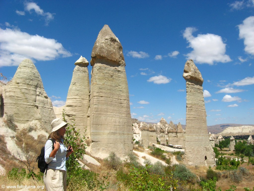 Вокруг места любви стелется виноград