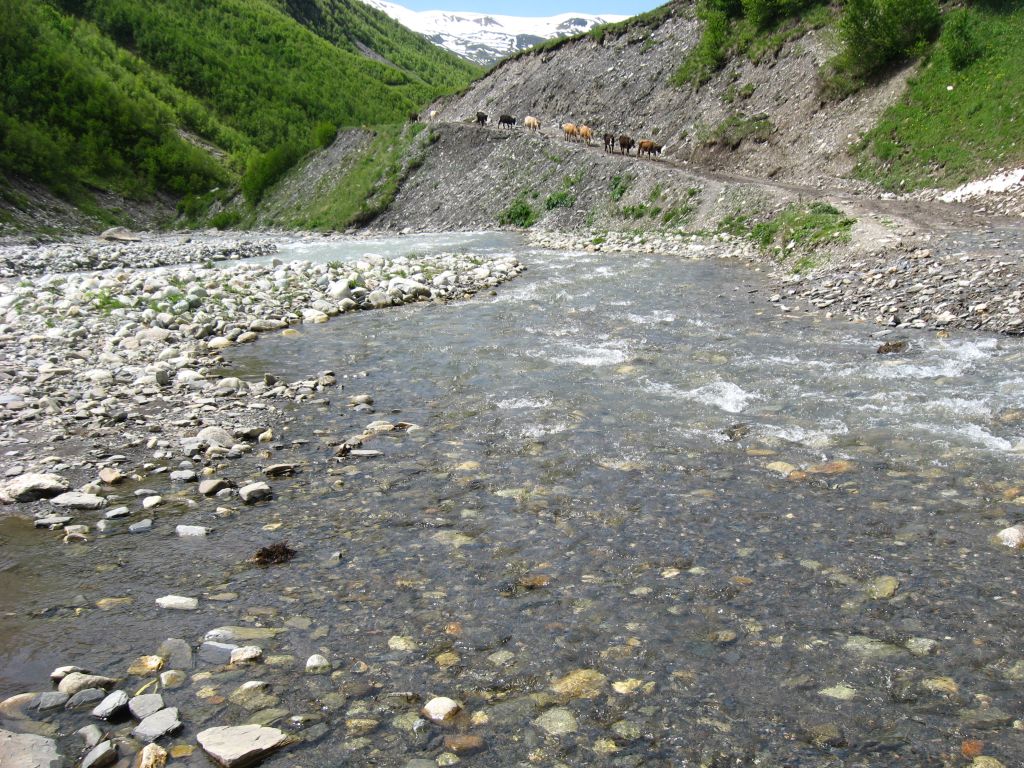 46 IMG 7846