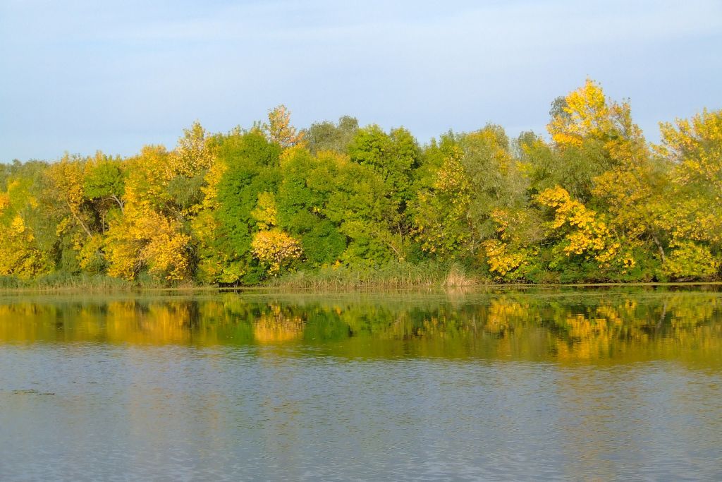 Светится Осень