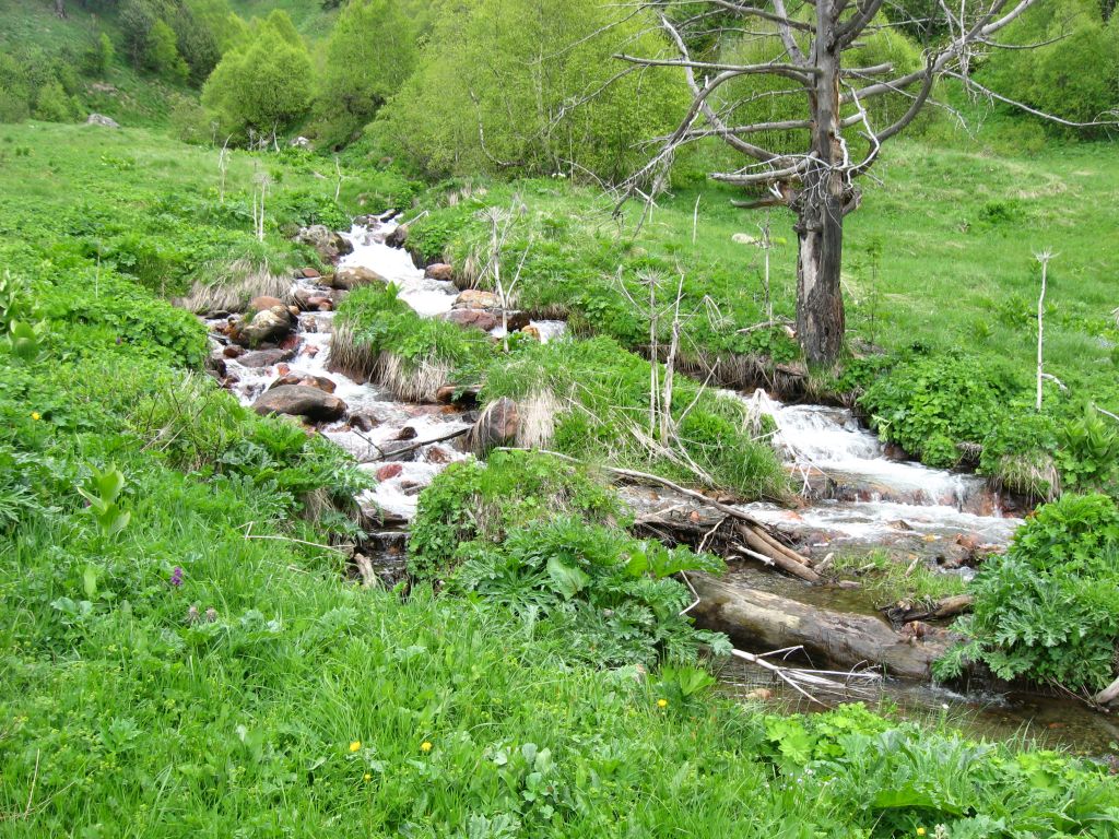 Вода очень холодная