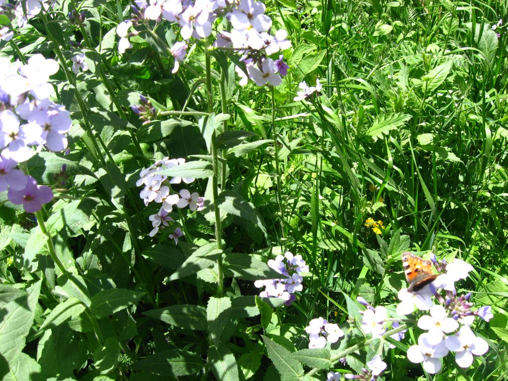 47 IMG 8750