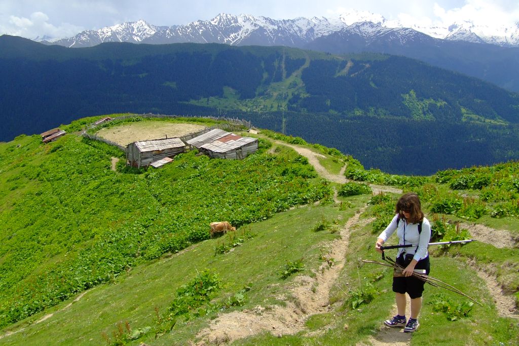 Если нужны дрова, их надо собрать заранее