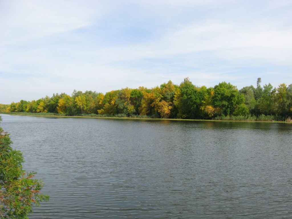 Полосы реки, деревьев, неба