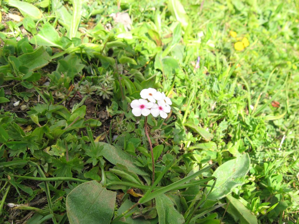 48 IMG 7902