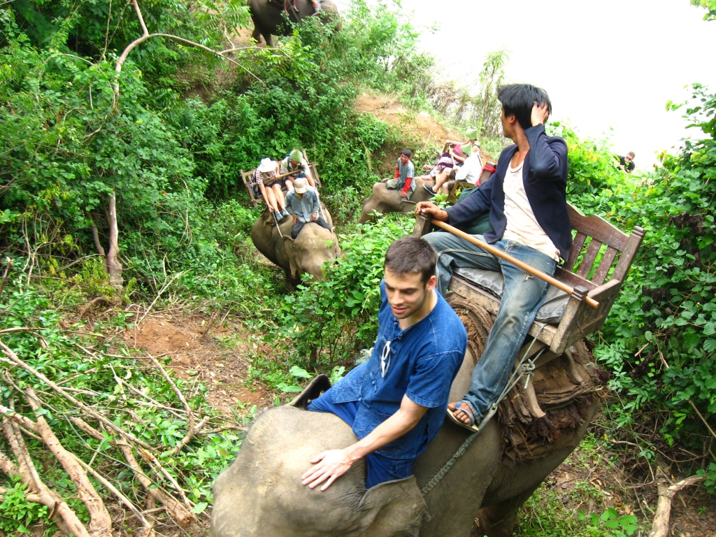 48 IMG 9528