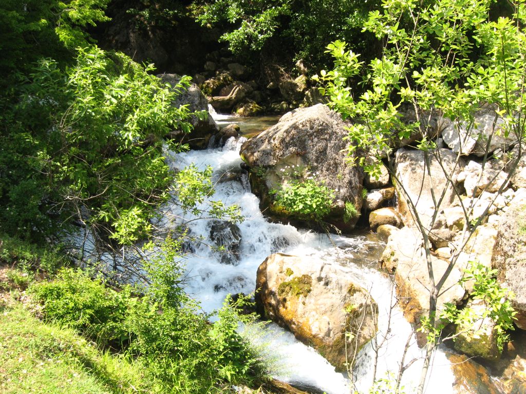 50 IMG 8070