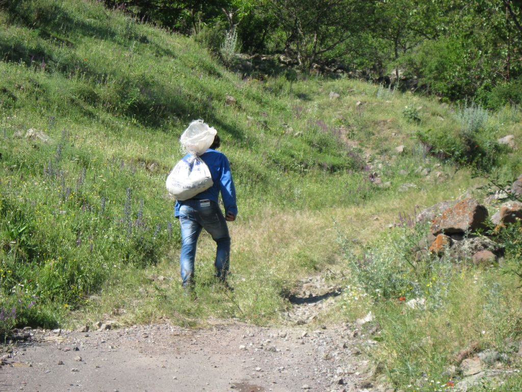 50 IMG 8974