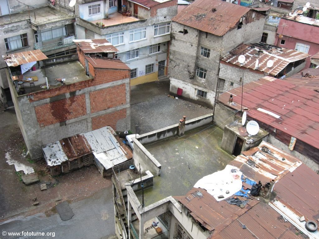 На крышах