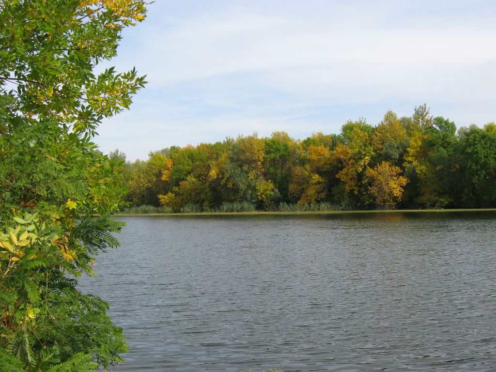 51 IMG 7017