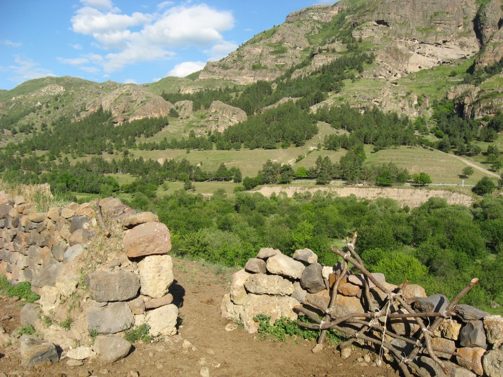 51 IMG 8961