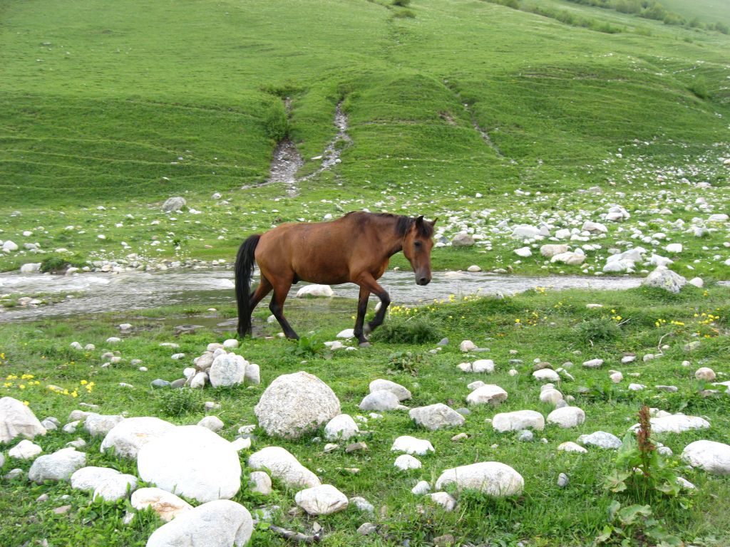 52 IMG 7912