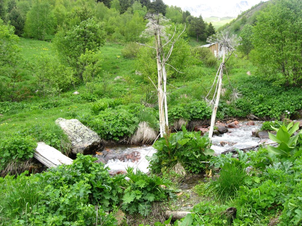 Берег