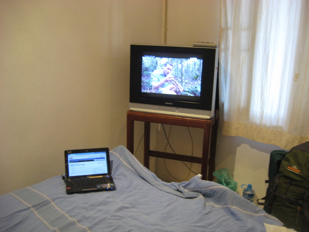53 IMG 8872