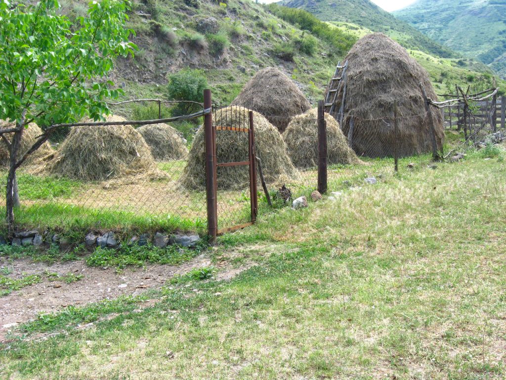 53 IMG 9093