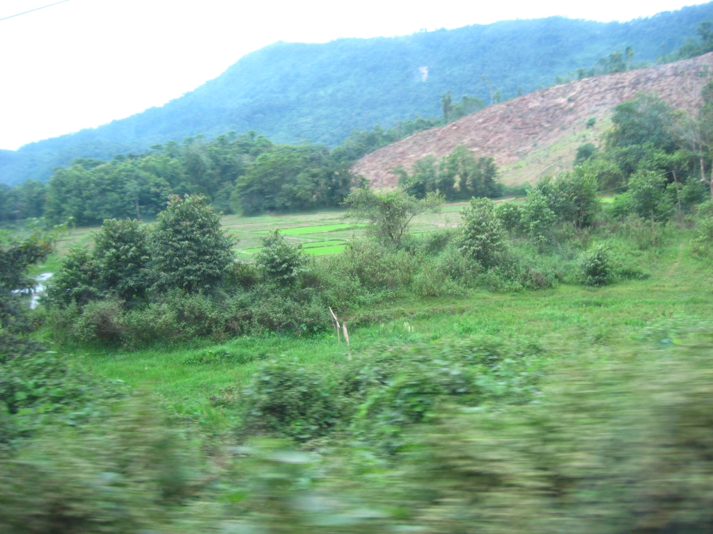 54 IMG 8908