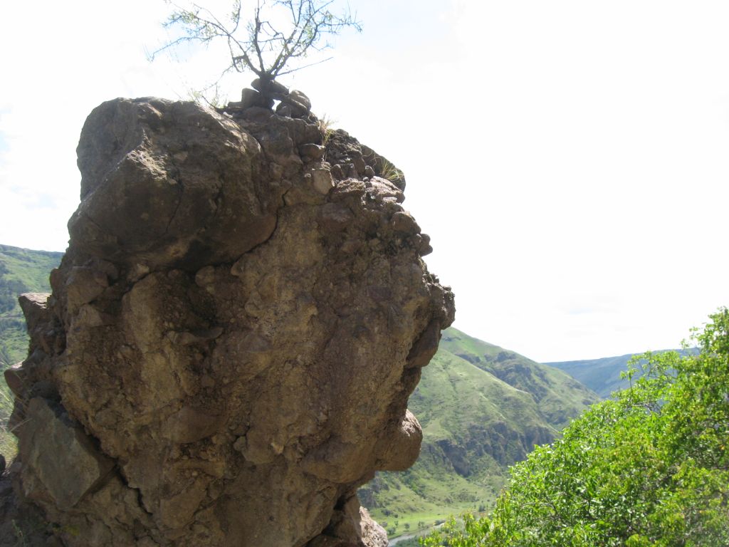 55 IMG 8893