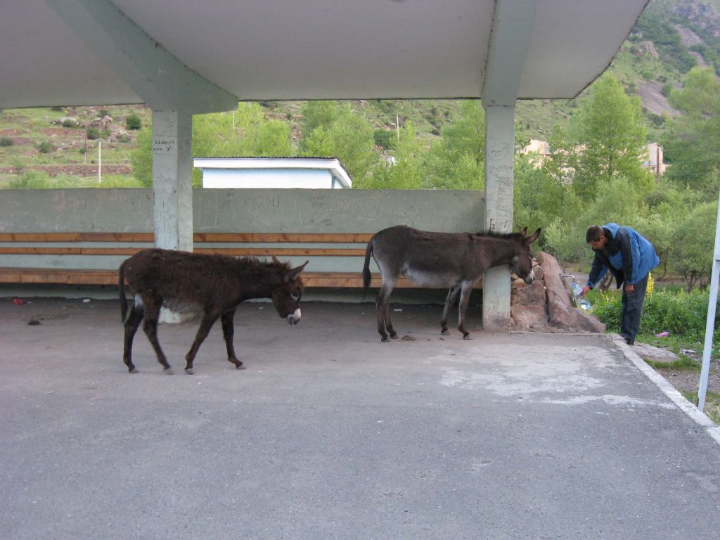 58 IMG 8789