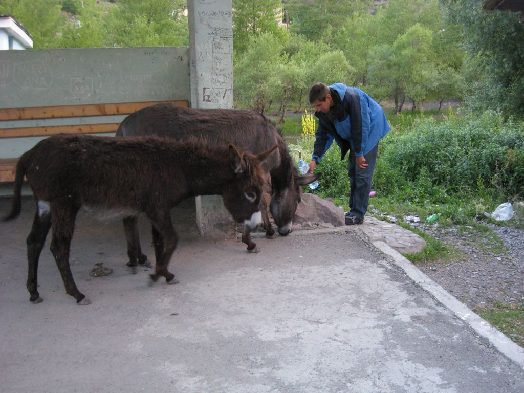 59 IMG 8793