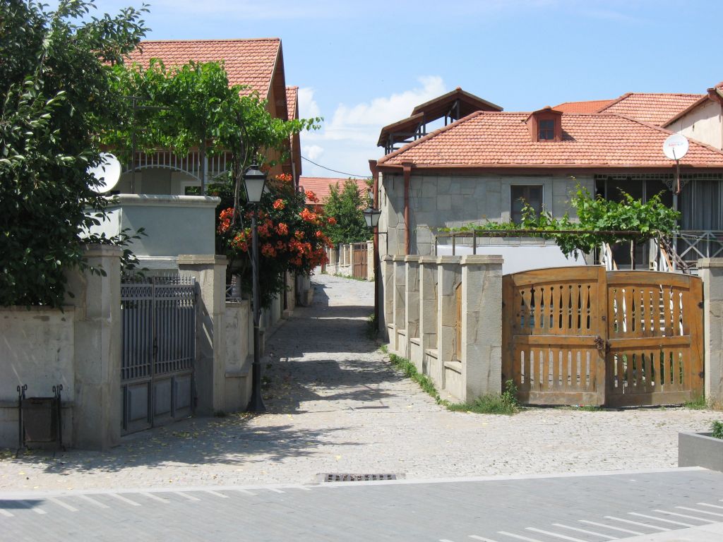 5 IMG 8248
