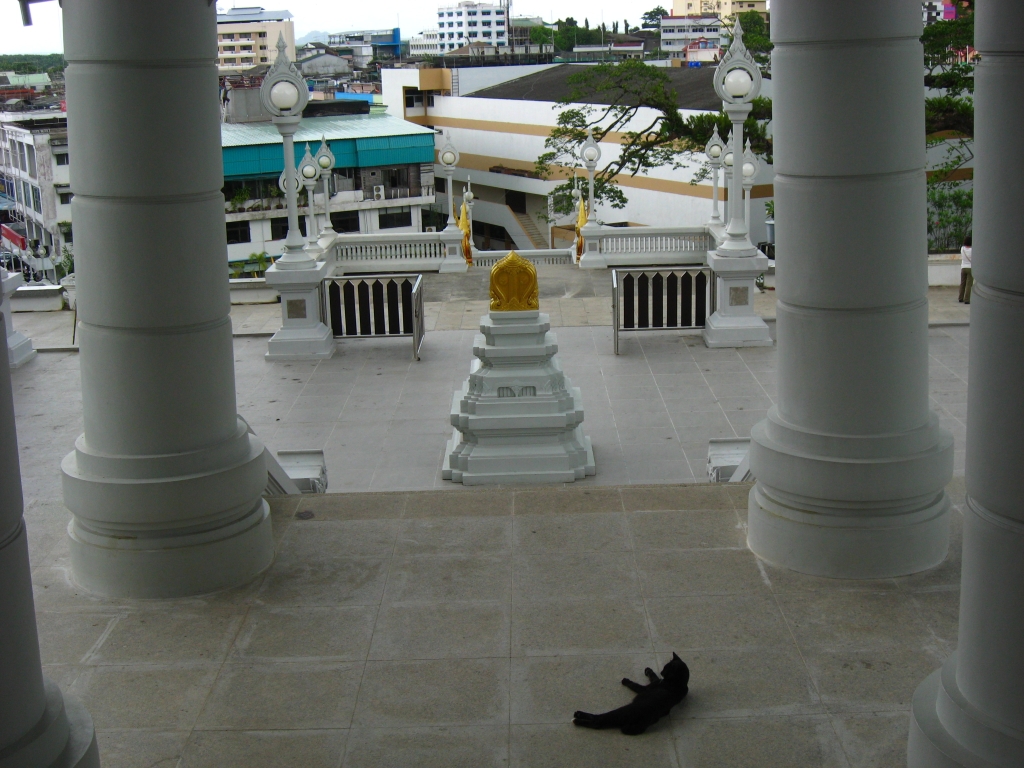 60 IMG 1197