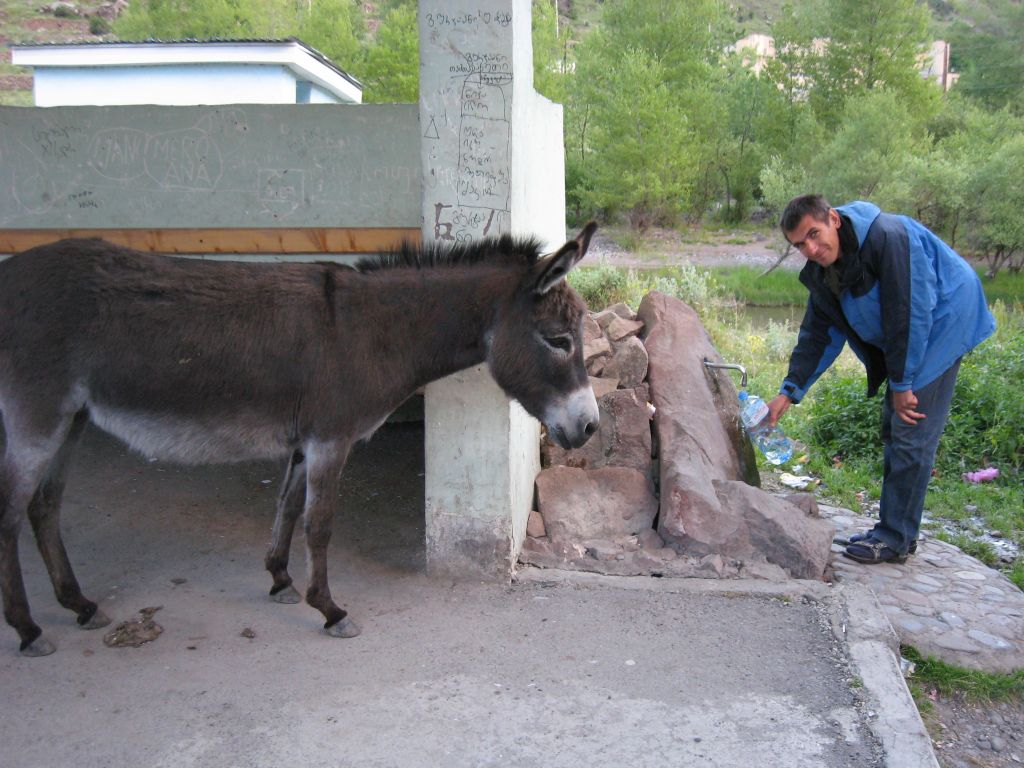 60 IMG 8791