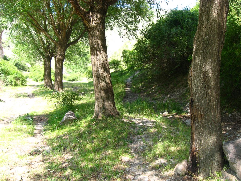 60 IMG 9096
