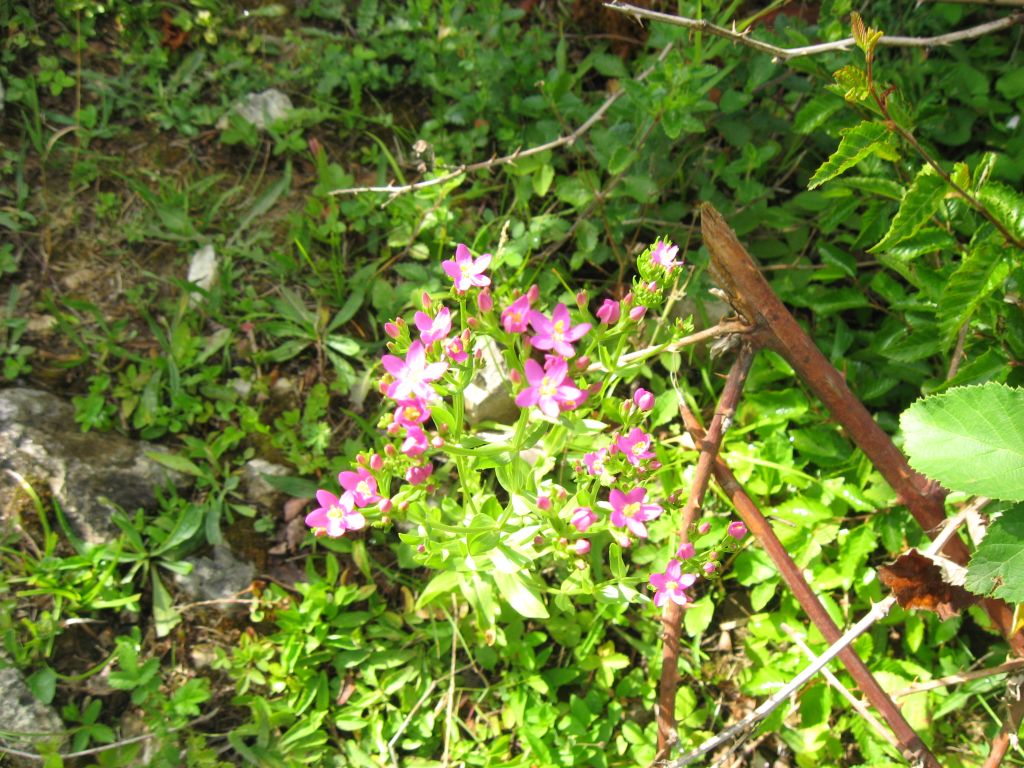 62 IMG 8089