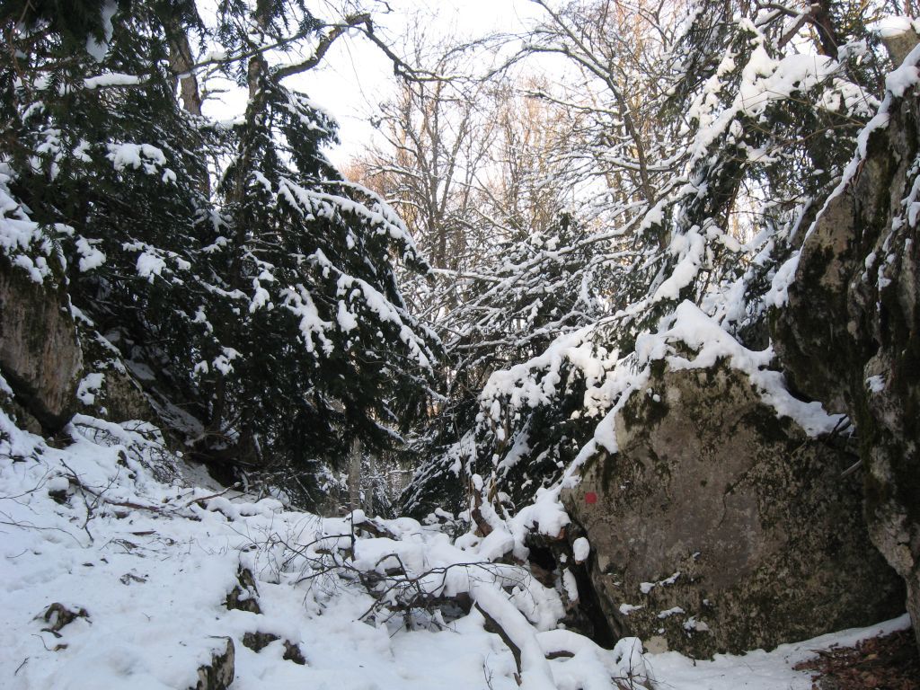 Тисовое ущелье зимой, пожалуй, выглядит наиболее красиво
