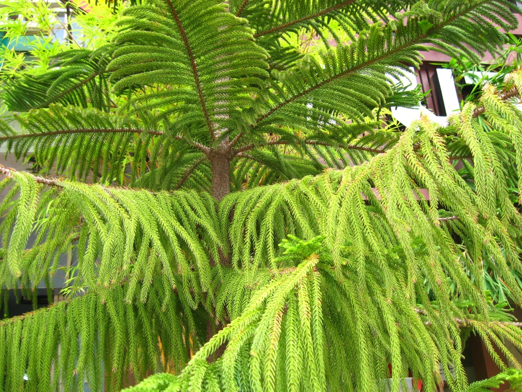 63 IMG 8572
