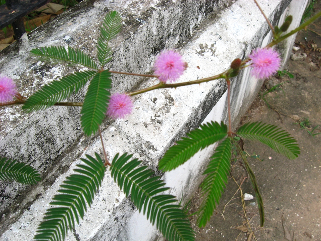 63 IMG 8883