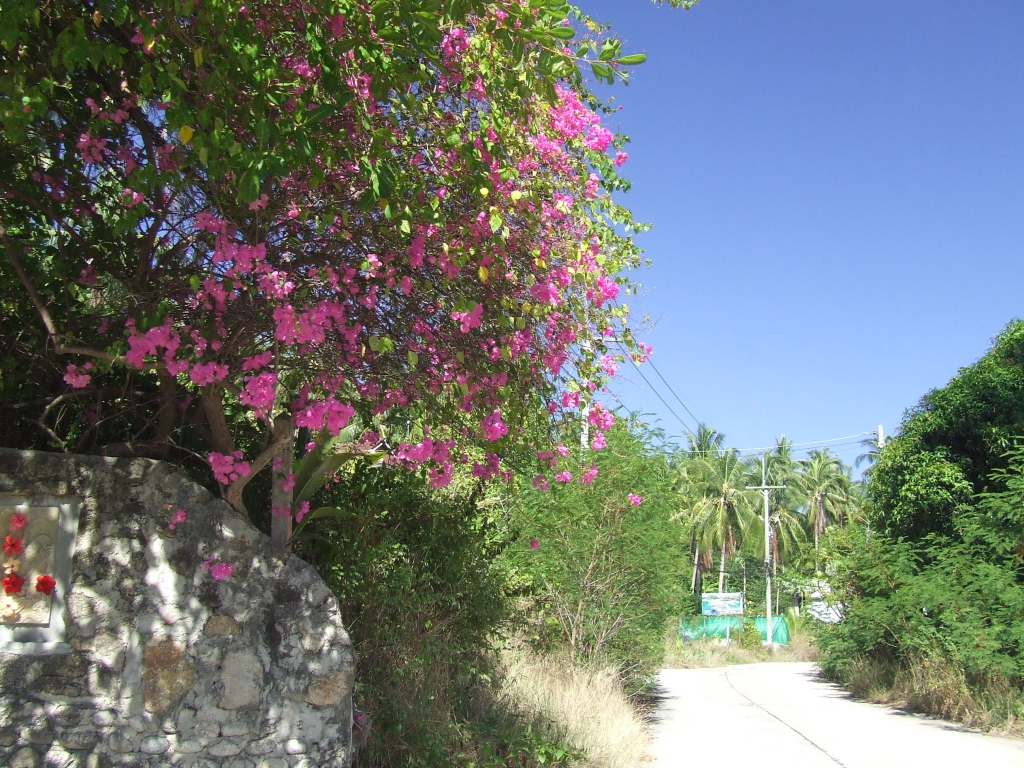 64 DSCF0584