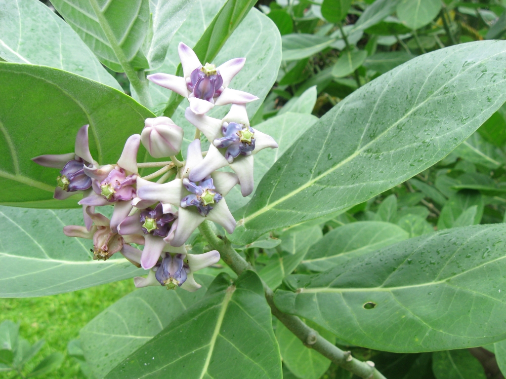 64 IMG 8583