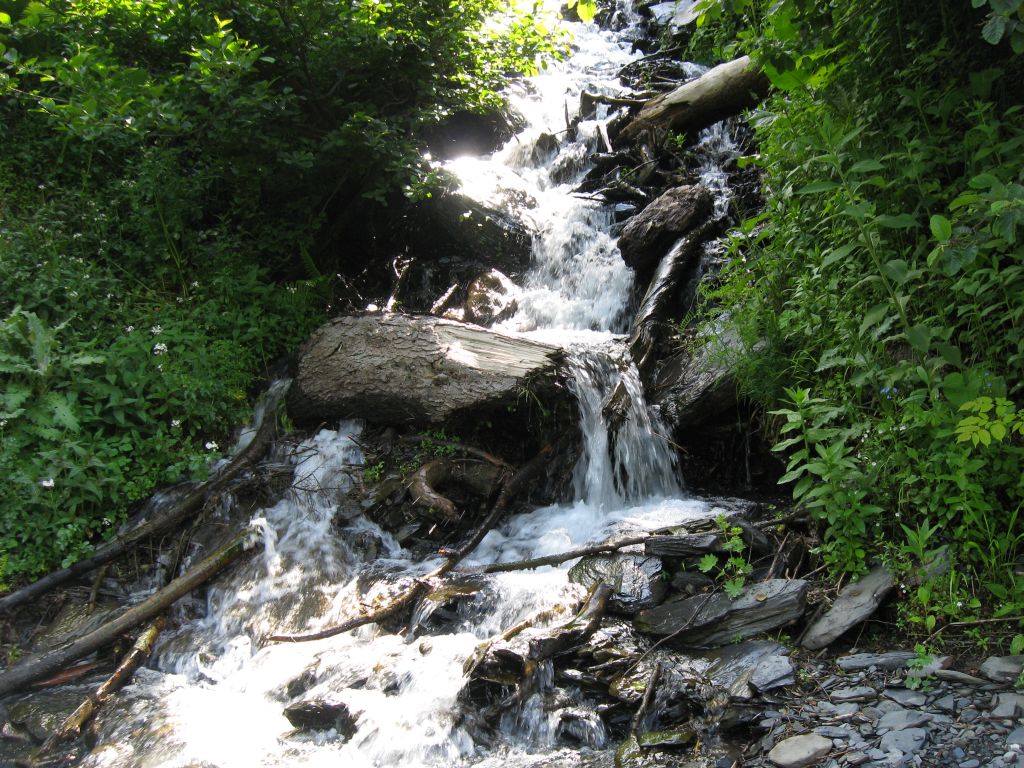 65 IMG 7981