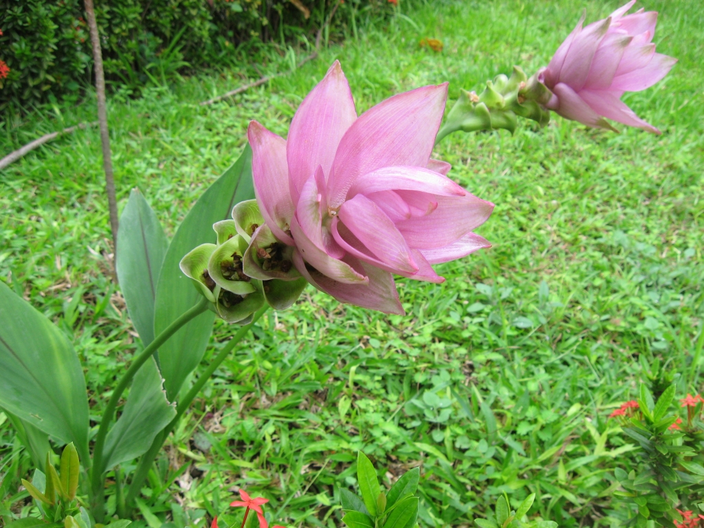 65 IMG 8584
