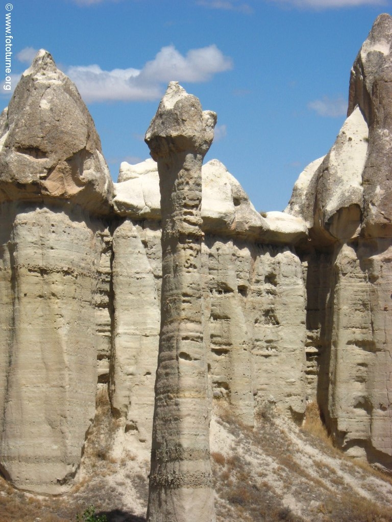 Мне эти похожи на драконовые шеи
