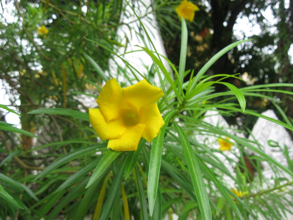 67 IMG 8578