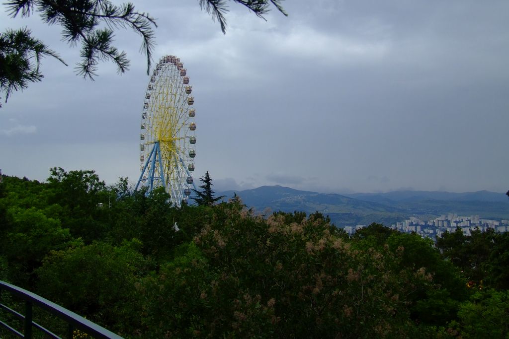 6 DSCF3281