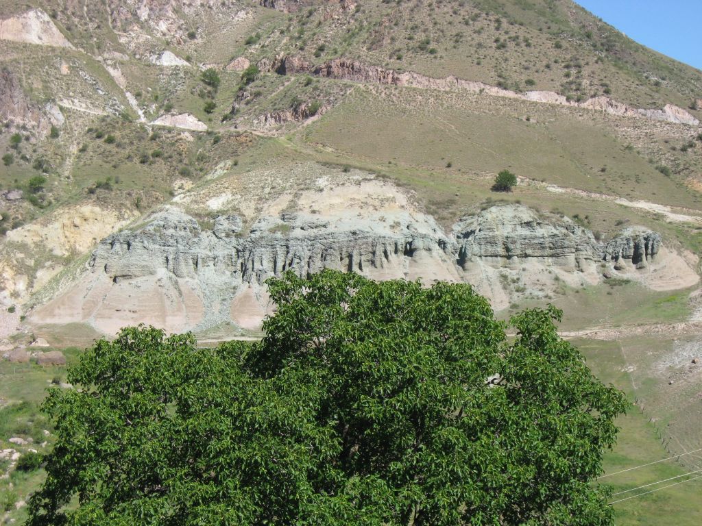 71 IMG 8818