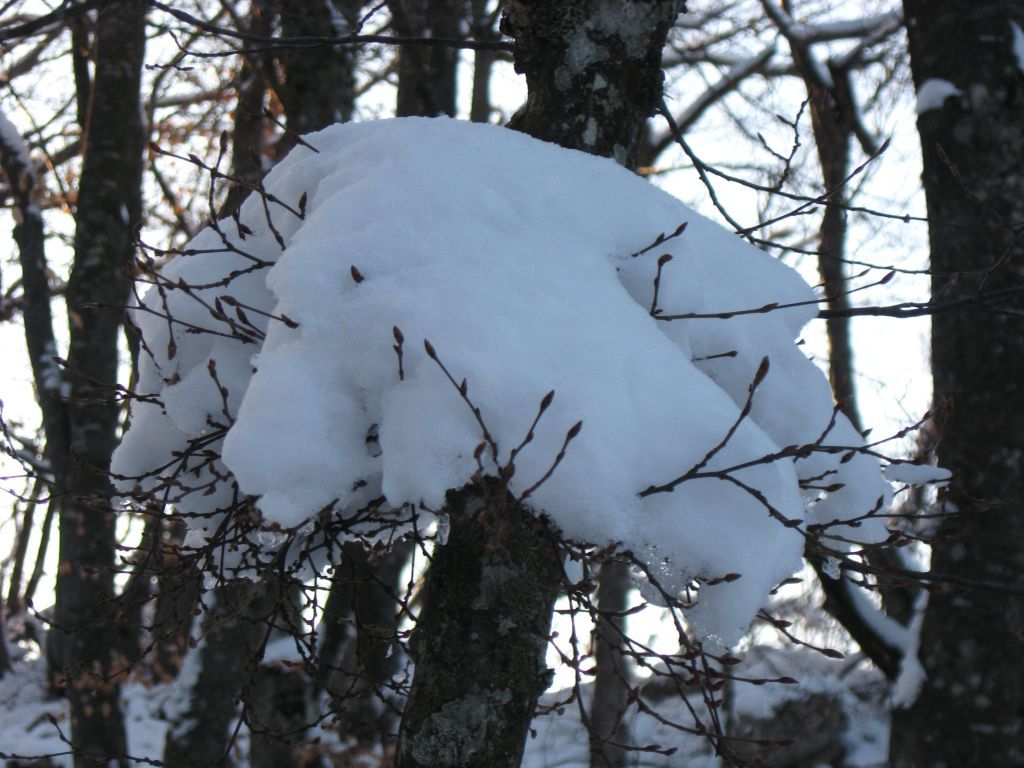 Украшения из снега